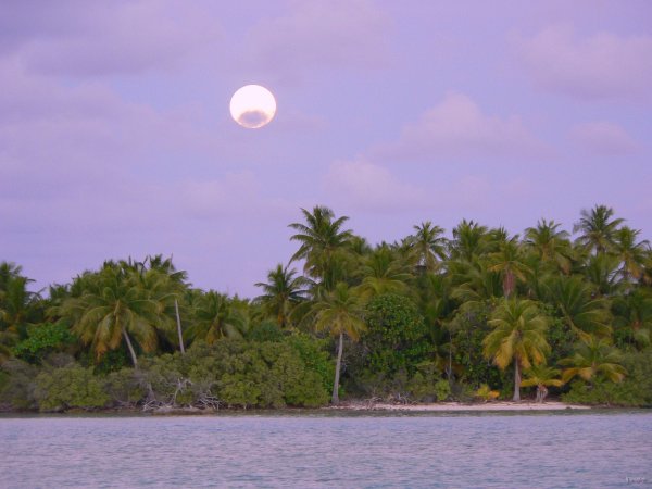 60- Lever de lune sur le motu 